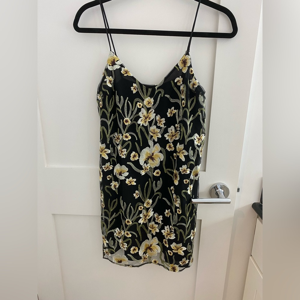 BNWT Aritzia Dress